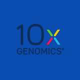 TXG