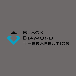 Black Diamond Therapeutics Inc