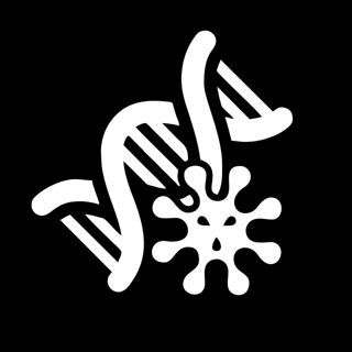 IBB